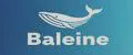 Baleine