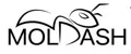 MOLDASH.WEAR