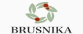 Аналитика бренда BRUSNIKA ACCESSORIES на Wildberries