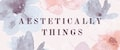 aestetically things