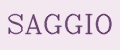 SAGGIO