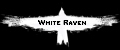 Аналитика бренда White Raven на Wildberries