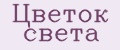 Цветок света