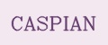 Аналитика бренда CASPIAN на Wildberries