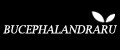 BUCEPHALANDRARU