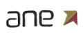 ANE Toys
