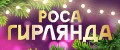 Аналитика бренда Гирлянда Новогодняя Роса на Wildberries