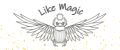 LikeMagic