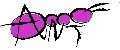 ANT SHOP