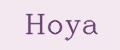 Аналитика бренда Hoya на Wildberries