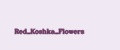 Аналитика бренда Red_Koshka_Flowers на Wildberries