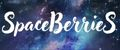 Аналитика бренда SpaceBerries на Wildberries