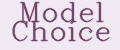 Model Choice