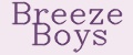 Аналитика бренда Breeze Boys на Wildberries