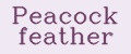 Peacock feather