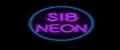 Аналитика бренда sib_neon на Wildberries