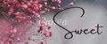 Sweet