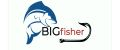 Аналитика бренда BIGfisher на Wildberries