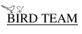 Bird Team Camp