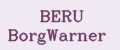 BERU BorgWarner