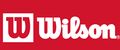 Аналитика бренда Wilson на Wildberries