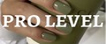 Pro Level