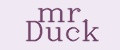 Mr. Duck