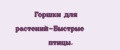 Горшки для растений-Быстрые птицы.