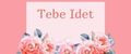 TEBE IDET