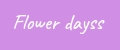 Аналитика бренда flower.dayss на Wildberries