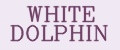 WHITE DOLPHIN