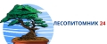 Лесопитомник 24