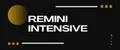 remini_intensive