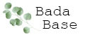 BADA BASE