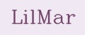 Аналитика бренда LilMar на Wildberries