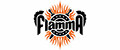 Аналитика бренда Flamma на Wildberries