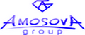 Amosova group