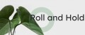 Roll and Hold