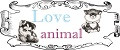 Love animal