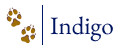 Indigo animal