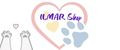 Аналитика бренда ILMAR SHOP на Wildberries