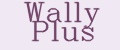 Аналитика бренда Wally Plus на Wildberries