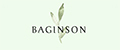 Baginson