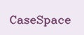 CaseSpace