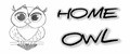 Аналитика бренда Homes Owl на Wildberries