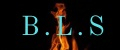 B.L.S