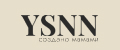 Аналитика бренда YSNN на Wildberries