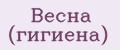 Весна (гигиена)