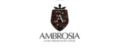 Аналитика бренда Ambrosia на Wildberries