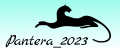 Pantera_2023